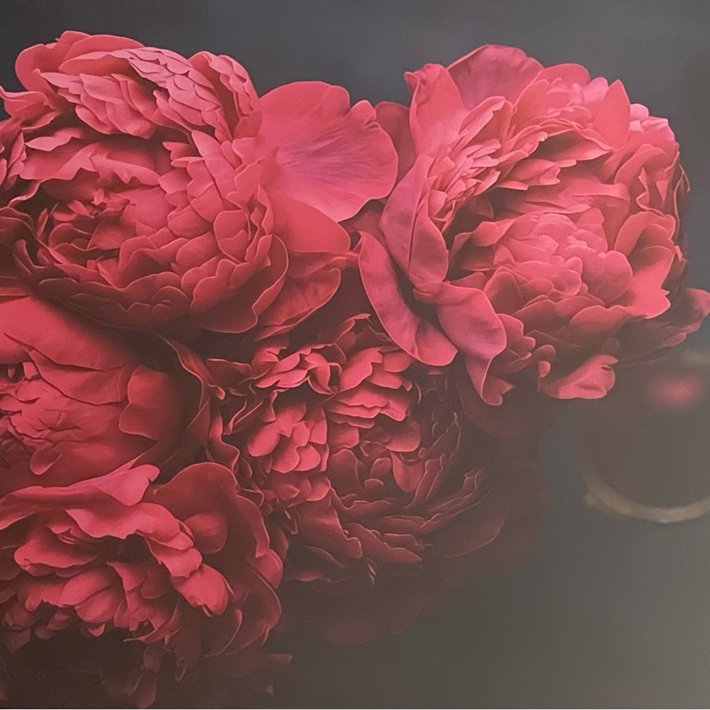 Vibrant Magenta Peony Wood Frame Wrapped Canvas Wall Art